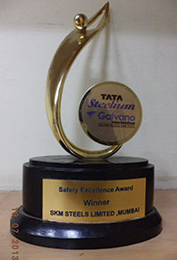 Award for Safety Excellence in Plant